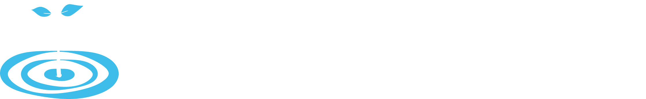 Logo Footer Chiesa Acqua Viva